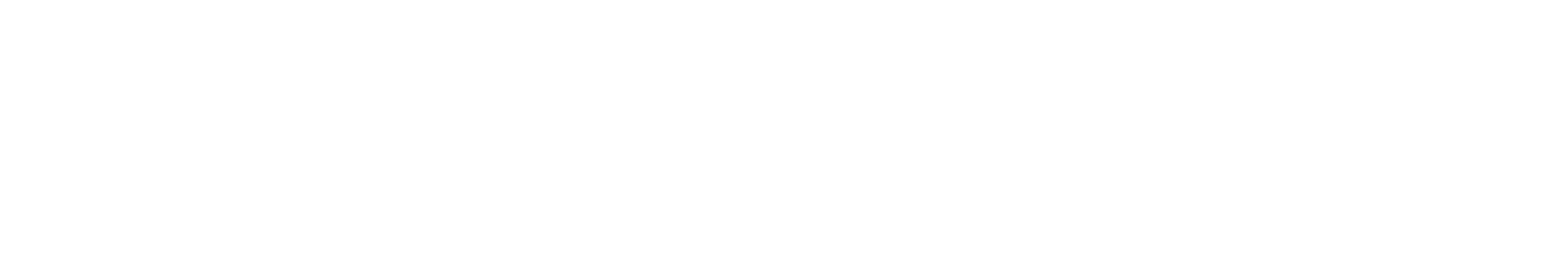 SM SOFTWARES
